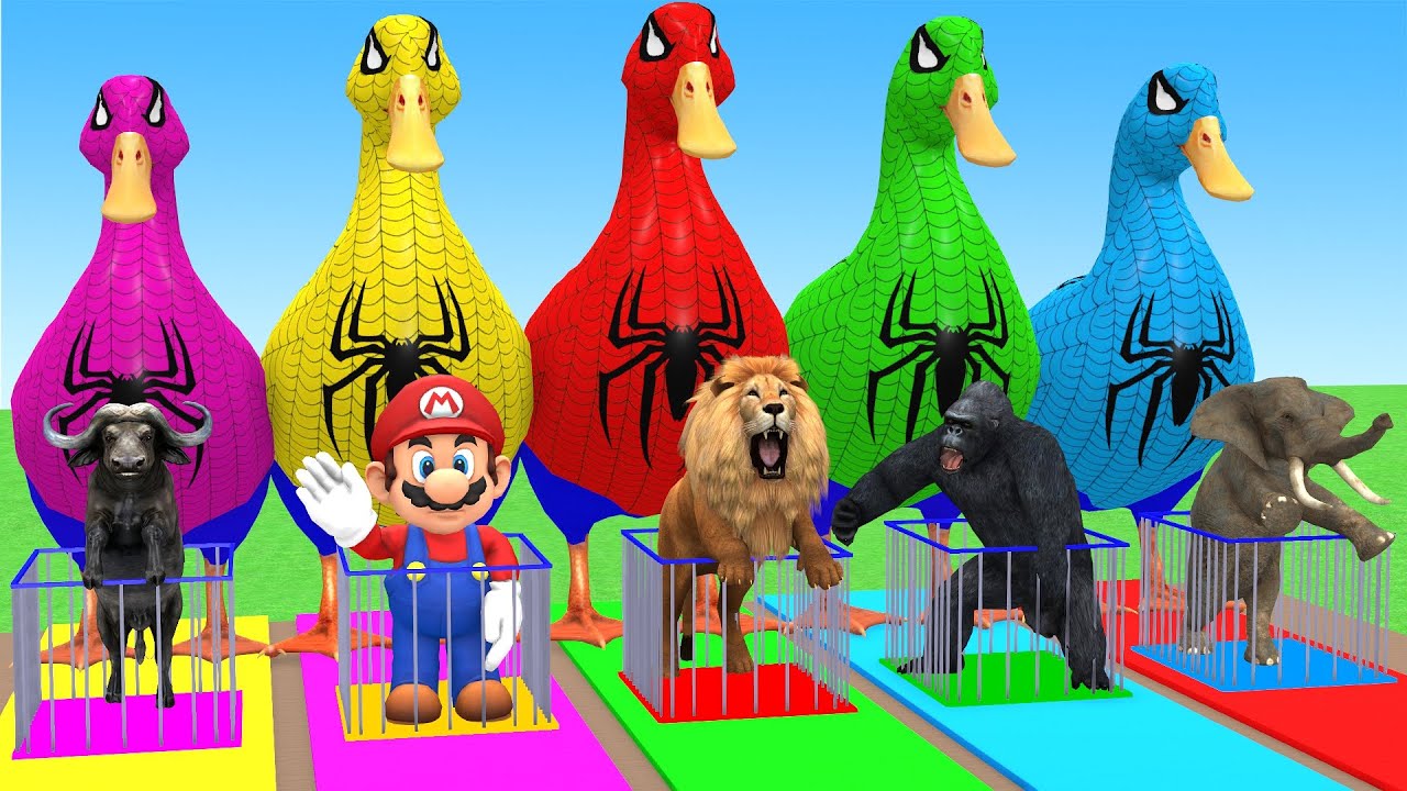 Long Slide Game With Cow Elephant Gorilla Hippopotamus Tiger 3d Animal Game Funny 3d Animals