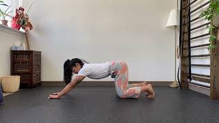 Quadruped T-Spine Extension with Pulses
