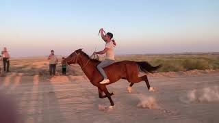 سباق الخيول العربيه في ديالى كنعان❤️🐎❤️