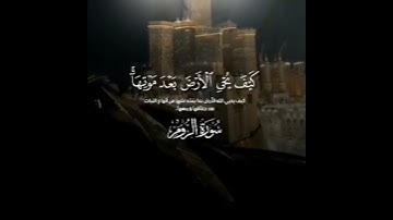 اكتب شيء تؤجر عليه 🩶😴 #القارئ_ياسر_الدوسري #Karim_Quran_1