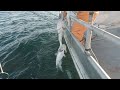 Loading up  catching pacific cod in kodiak alaska