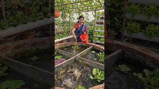 Sustainable Living: Fresh Vegetables &amp; Fish Farming at Home ভাইরাল ছাঁদ বাগান #shorts #viral