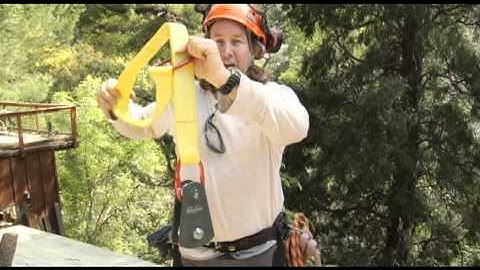 Arborist Block and RIgging - Prune Like a Pro