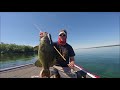 Gajo Baits Spirit Shad 