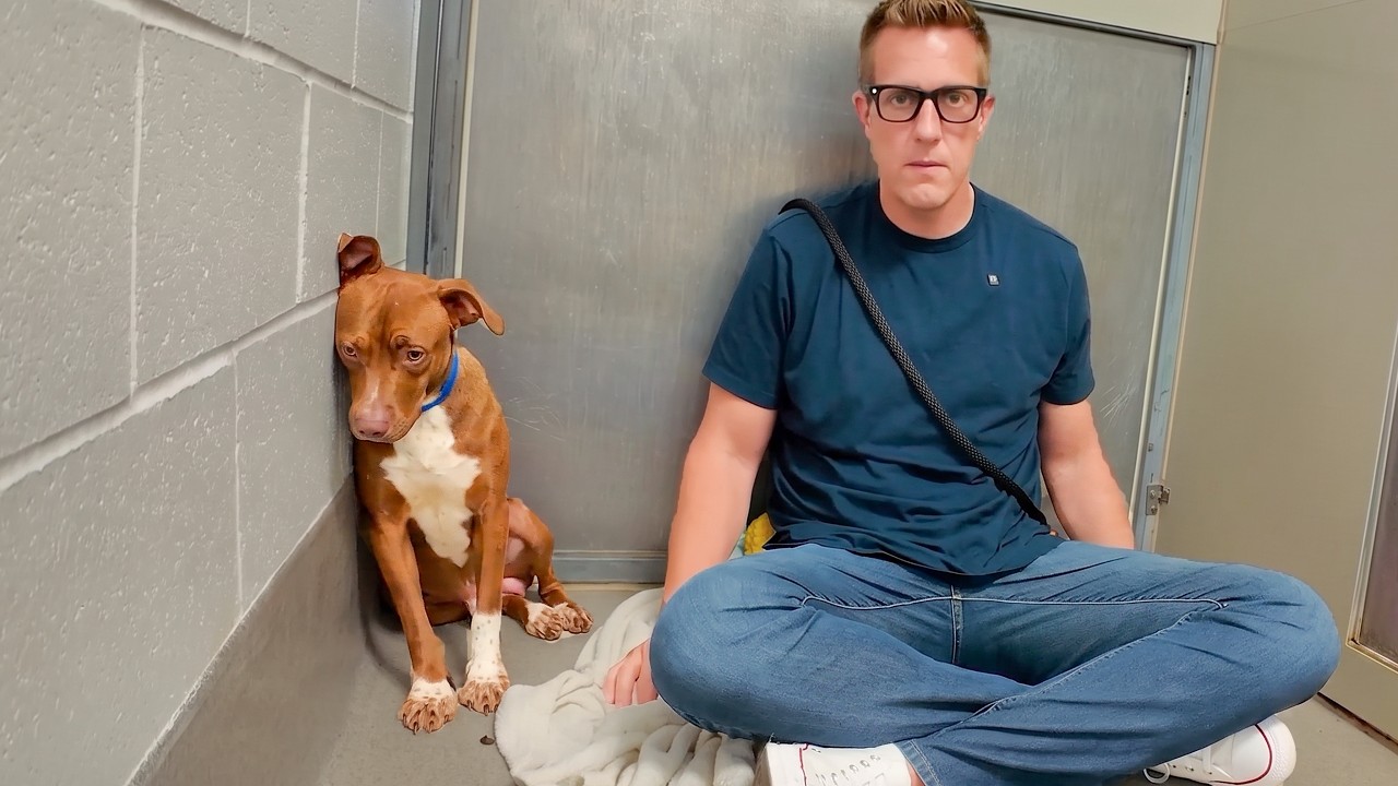Sitting With Dogs with Rocky Kanaka