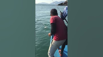 Trolling biển đà nẵng