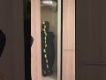 クローゼット開けたら恐竜が裸でシャワー浴びてたw