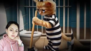 Poor kitten 🥺🐱 | Cat Story  #cats #cat #cute #sadcat😿