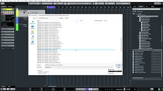 Singomakers - Rawstyle Monster (Sample pack walkthrough)
