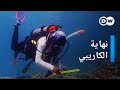 وثائقي الكاريبي إنقاذ المرجان وتغير المناخ وثائقية دي دبليو