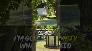 Preparing Your Bird Feeders for Fall Migration #shorts