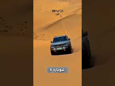 بي واي دي ليوبارد ٥   5