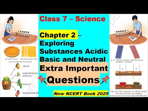 Curiosity Class 7 | Chapter 2 - Exploring Substances Acidic Basic and ...