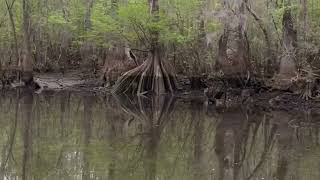 I Have Finally, Made It Home Writer Lynn Jordan