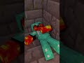STEVE HEROBRINE MINECRAFT!