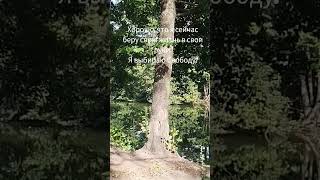 #Хорошо что я сейчас беру свою жизнь в свои руки. Я выбираю Свободу# Таro Natascha #Shorts#