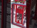 QTJ4-25C Concrete Block Machine Complete Production Line | Full Process Test Run #blockmachine