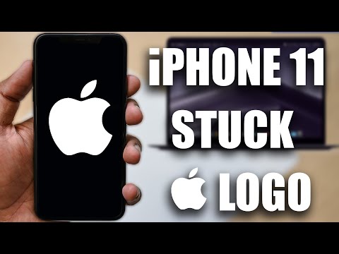 Video: Proč Logo Apple Ukazuje Pokousané Jablko