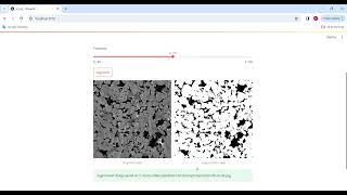 Celebrity 2D pore segmentation web application Profile