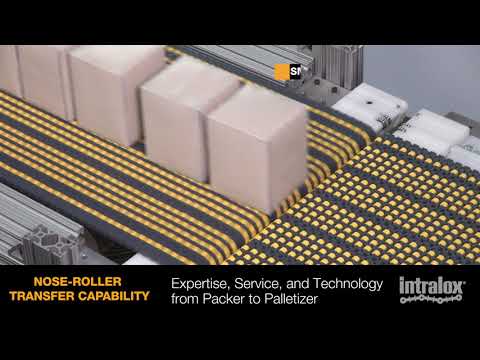 Intralox Series 1000