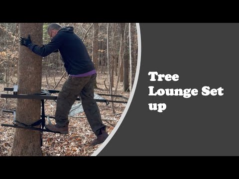 Tree Lounge  -- Field Use