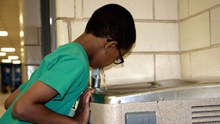 Bronx School Lead Levels SIXTEEN TIMES Higher Than FLINT