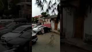 СтопХам по-Крымски