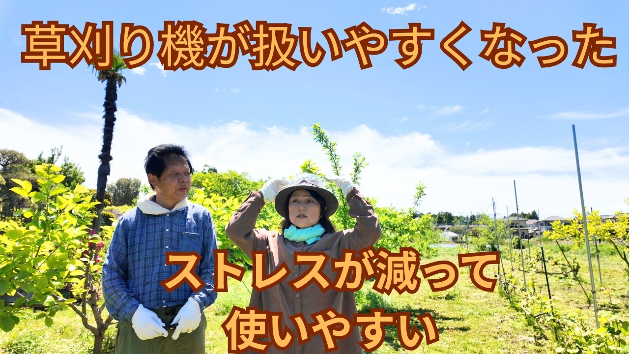 エンジン草刈り機（刈り払い機）を買い換えたら弱点が無くなって凄く