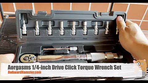 Aorgasms 1/4 inch Drive Click Torque Wrench Set