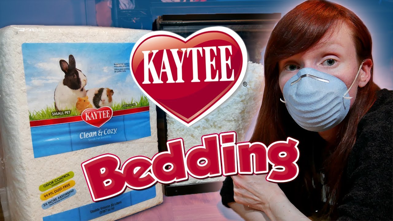 kaytee paper bedding