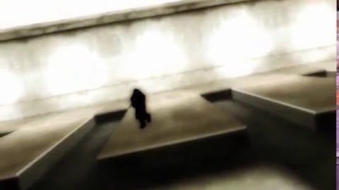 steLz - 255 Longjump Block 10aa