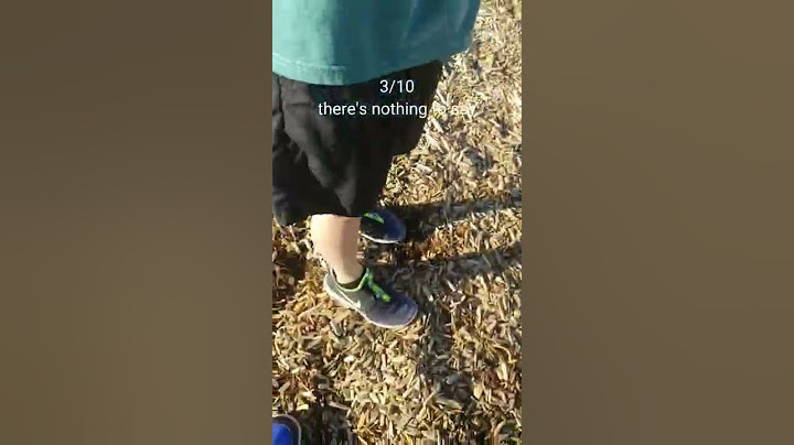rating people's shoes from school🔥