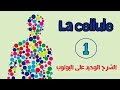 la cellule/الخلية (le premier épisode de l'anatomie )