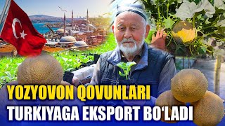 “Yozyovon qovunlarini Turkiyaga eksport qilyapmiz”: 78 yoshli  dehqon Qodir hoji ota bilan suhbat