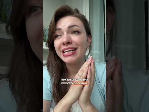 Документальный фильм про Корею #жизньвкорее #мужкореец #корейскийязык
