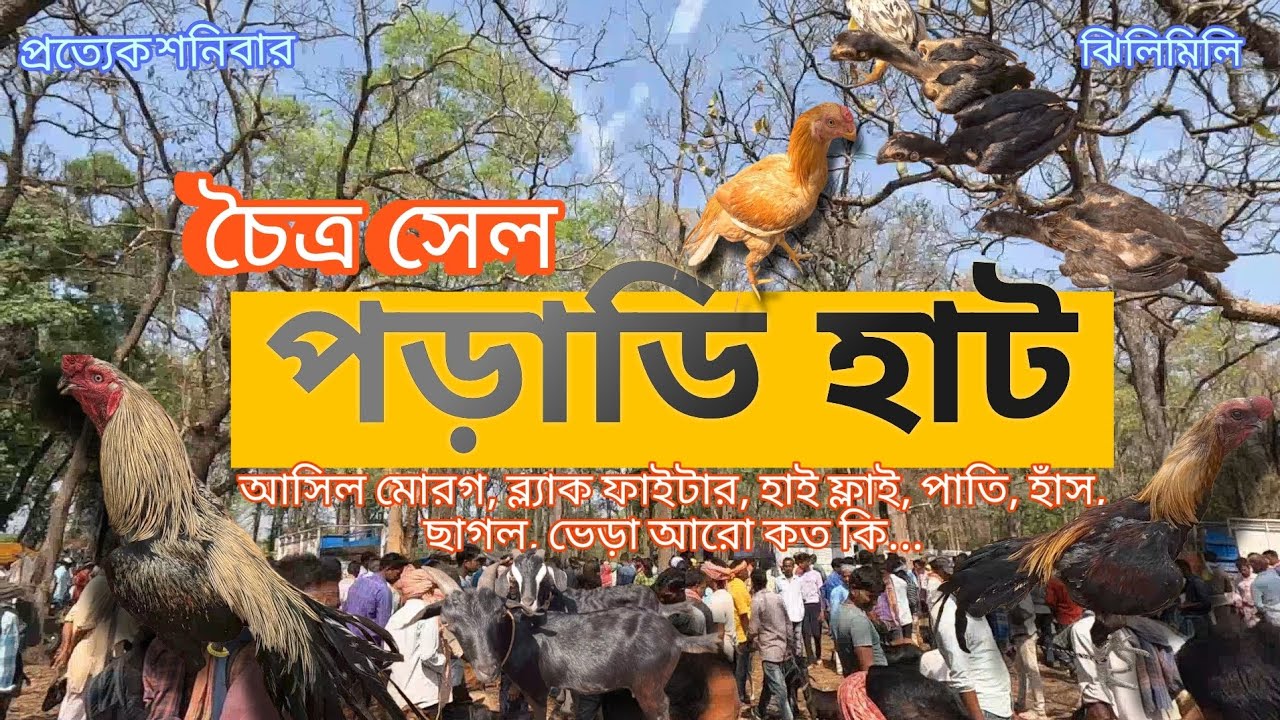 পড়াডি হাটের নতুন কালেকশন || Poradhi haat || সেরার সেরা হাট এর সম্পূর্ণ vlog with @achenaporshi
