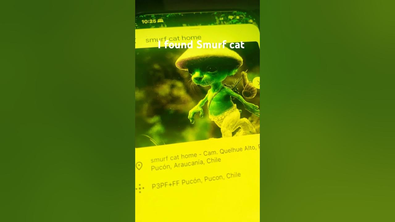 i-found-smurf-cats-home-on-google-earth-youtube