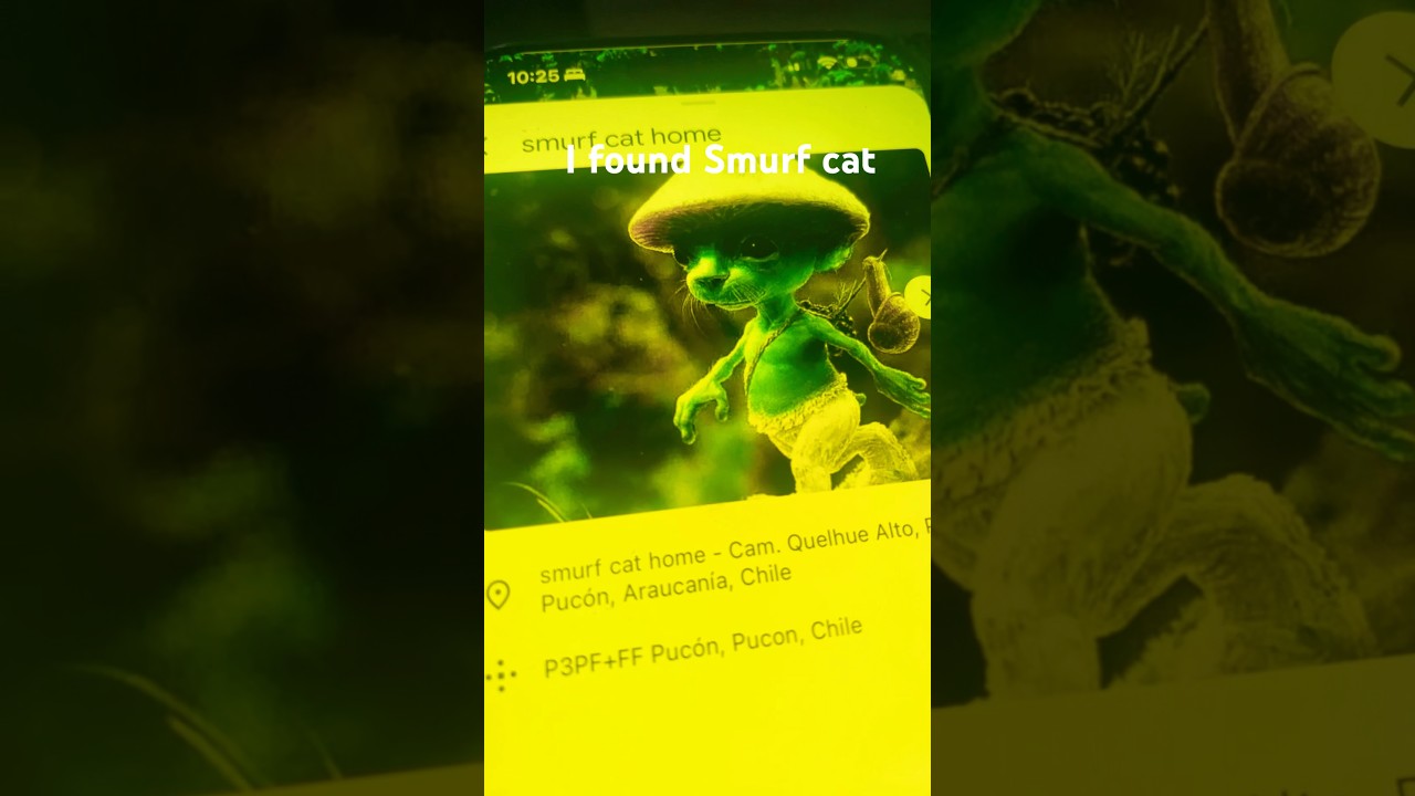 I Found Smurf Cats Home On Google Earth YouTube I Found Smurf Cats Home On Google Earth YouTube