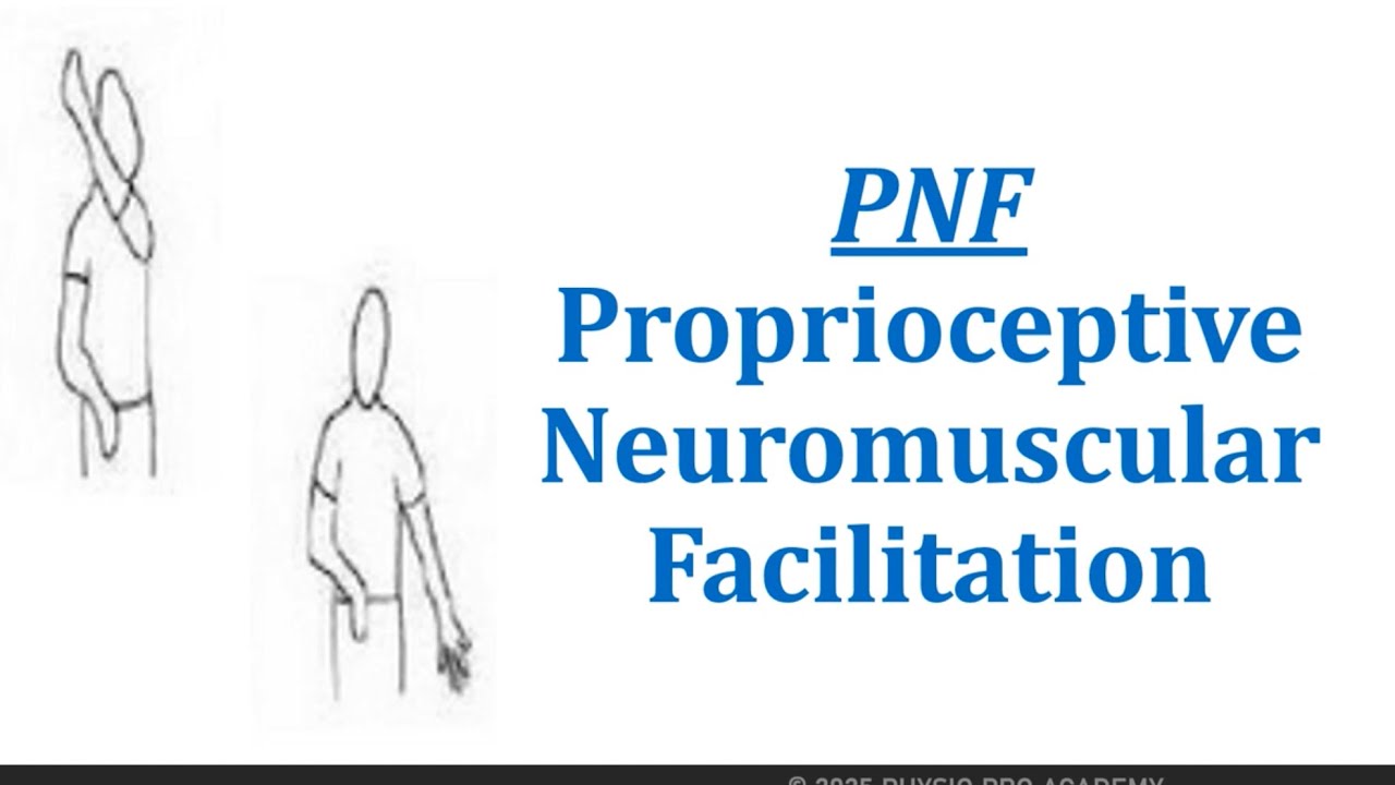 PNF- Proprioceptive Neuromuscular Facilitation - YouTube
