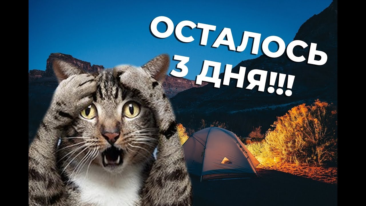 Оставляем на 3 4 часа. Осталось 3 дня. Осталось 3 дня картинка. Осталось три дня до закупки. Осталось 3 дня прикол.