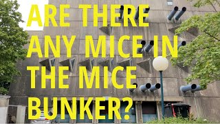 BERLIN'S MOST BRUTAL BUILDING // The mouse bunker has an ugly history