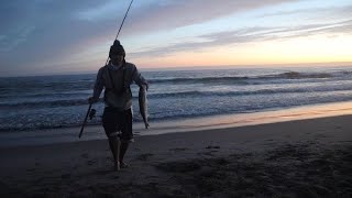 It is so crazy how diverse our fishing here on the california coast,
especially during this time of year. video just a glimpse wide
variety...