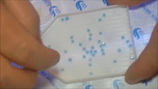 Diamond Painting - What to do About Static Clumps.