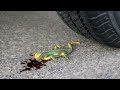 Crushing Crunchy & Soft Things by Car! EXPERIMENT: CAR vs LIZARD