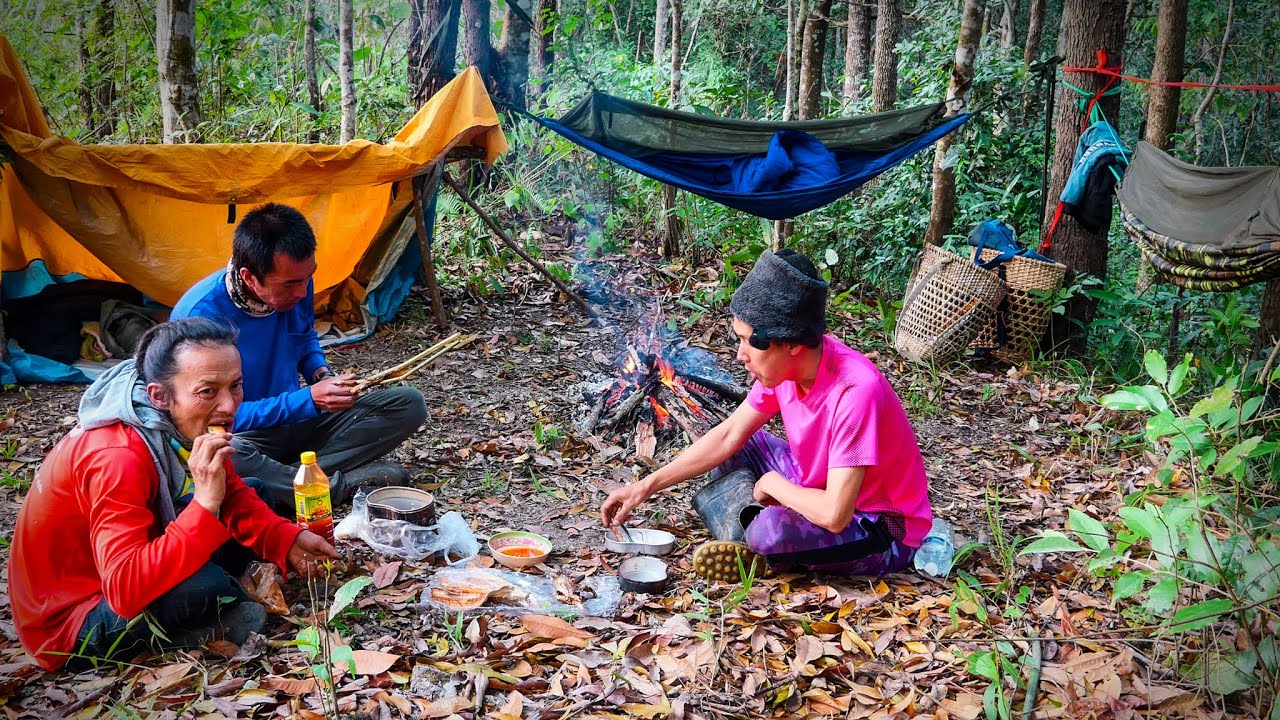 นอนบนสันในป่าใหญ่ ไก่ป่าเพียบ กินปลาทะเลปิ้ง ฝนตกกลับถึงบ้านเปียกหมดหนาวมาก [วรวิช]