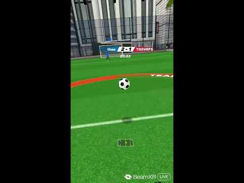 VRFS Live! (VR football simulator)