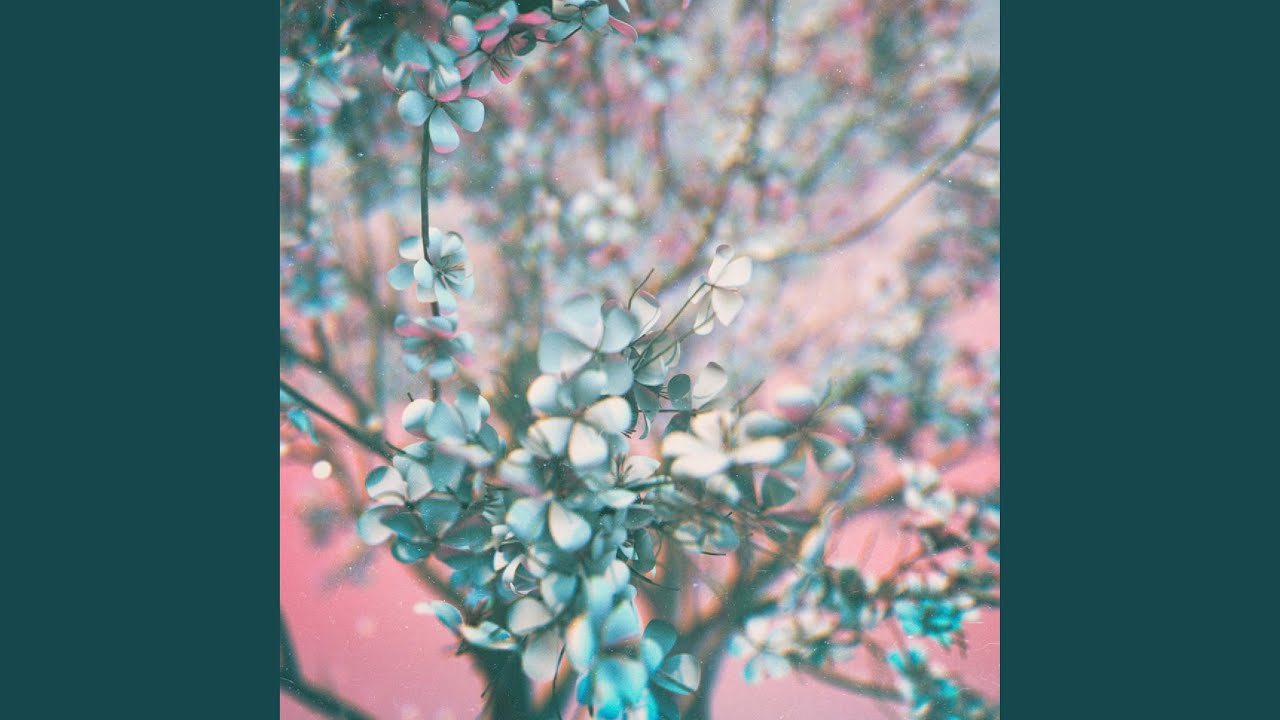 Maybe Sunshine, Maybe Rain