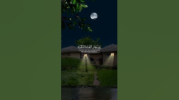 تلاوه مباركه : ارح سمعك وقلبك✔️