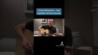 Олена Білоконь - там журавлі летіли клином