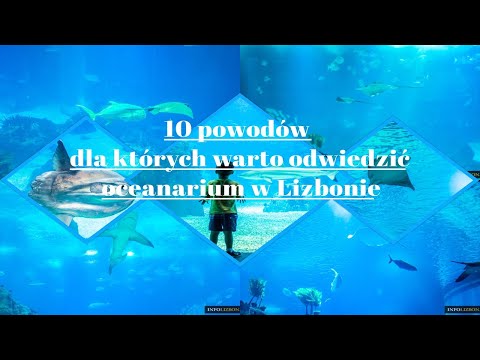 Wideo: Oceanarium Lizbońskie: Kompletny przewodnik